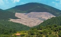 Kazdağları’nda maden tartışması: Kirazlı’da iş makineleri yeniden sahada