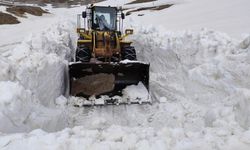 Van'da ilkbaharda kar yağışı ulaşımı felç etti