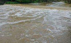 Kastamonu'da bu çayda tehlike sinyalleri