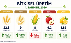 2026 sezonunda tarımda hızlı başlangıç: Üretim tahminleri ortaya çıktı!