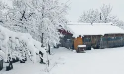 Mayısta kar sürprizi: 3 il beyaza büründü