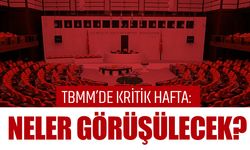 TBMM'de kritik hafta! Tartışma yaratacak düzenlemeler peş peşe geliyor