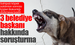 Sahipsiz köpek saldırıları! İçişleri Bakanlığı duyurdu: 3 belediye başkanı hakkında soruşturma