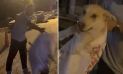 Çuvala koyulan köpeği, hayvansever kadın kurtardı!