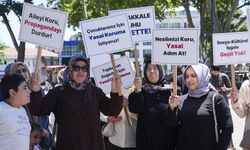 Büyük Aile Platformu'ndan kritik açıklama: "LGBT temalı gemi istemiyoruz"