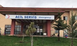 Yardım istediği sürücüyü vurdu, aracı gasp etti