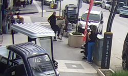 Köpeğine saldıran kediye acımasızca tekme attı: O anlar kamerada!