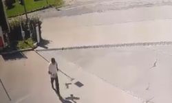 Kargadan kaçarken dengesini kaybetti, taklalar attı!