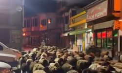 Yayla mesaisi başlıyor: Yüzlerce küçükbaş yollara düştü!