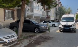 Kardeş kavgası kanlı bitti: Birbirlerini bıçakladılar