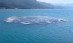Kastamonu Cide'de "deniz" paniği!