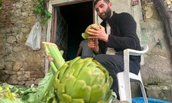 Aylık 240 bin lira kazanmak ister misiniz? Ne diploma ne de ofis gerekiyor...