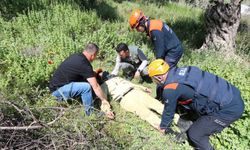 Manisa'da olası orman yangınları için bilinç kazandırılıyor