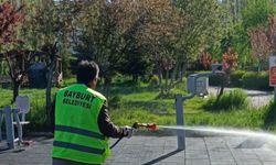 Bayburt'ta kene için geniş çaplı ilaçlama