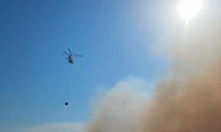 Avşa Adası'ndaki alevler kontrol altına alındı