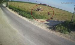 Hatay'da traktör pulluğuna takılan çiftçinin feci anları