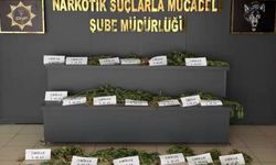 Unesco mirasına dev narkotik baskını