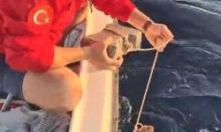Böyle vicdansızlık görülmedi: Deniz kaplumbağasının ayağına kaldırım taşı bağlamışlar
