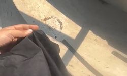 Tesettürlü kadını havuza almamışlardı! Site görevlisi tutuklandı