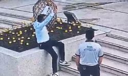 Hem insana hem köpeğe saldırdı!