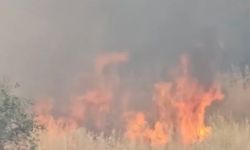 Diyarbakır'da anız yangını