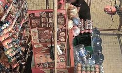 Marketi talan eden çocuklar suç makinesi çıktı: 11 yaşında 50'nin üzerinde suç kaydı!