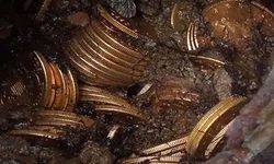 Bahçelerinde gezerken servete rastladılar! Toprağın altından milyon dolarlık altın çıktı