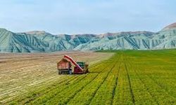 Arazi fiyatlarında zirvedeki şehir belli oldu!