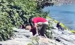 Avcılar'da vahşet: Köpeğini dakikalarca acımasızca dövdü!