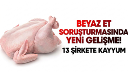 Beyaz et soruşturmasında yeni gelişme: 13 şirkete denetim kayyumu