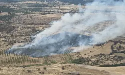 Çanakkale'de korkutan orman yangını! Alevler yükseldi, ekipler seferber oldu