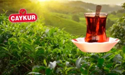 ÇAYKUR'un ihale ve yönetmeliğinde değişiklik