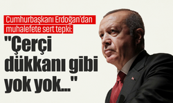 Cumhurbaşkanı Erdoğan'dan muhalefete sert tepki: "Çerçi dükkanı gibi yok yok. Entrika, skandal, ayak oyunu, ihanet..."