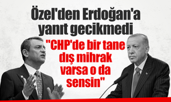 Özel'den Erdoğan'a yanıt gecikmedi: "CHP'de bir tane dış mihrak varsa o da sensin"