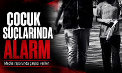 Çocuk suçlarında alarm: Meclis raporunda çarpıcı veriler