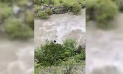Artvin'de bir araç Çoruh Nehrine düştü