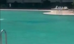 Mersin'deki haşema tartışmasının ardından savcılık harekete geçti