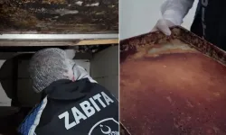 Hatay'da bir fırındaki skandal görüntüler mide bulandırdı: Her yer böcek kaynıyor!
