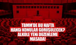 TBMM’de bu hafta hangi konular görüşülecek? Alkole yeni düzenleme masada!
