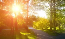 Ankaralılar müjde! Piknik, park ve doğa planları için tam zamanı