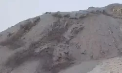 Lav bekleniyordu: Bambaşka bir şey çıktı!