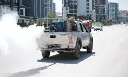 Keçiören’de yaz mesaisi başladı: 51 mahallede ilaçlama