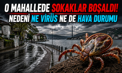 İstanbul'un o mahallesinde sokaklar boşaldı! Nedeni ne virüs ne de hava durumu...