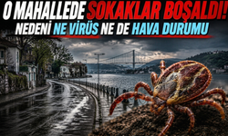 İstanbul'un o mahallesinde sokaklar boşaldı! Nedeni ne virüs ne de hava durumu...