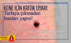 Kene için kritik uyarı: Tarlaya çıkmadan bunları yapın! “Can kayıplarının önüne geçilebilir”