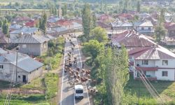 Köyün ortasından geçen yol, kabusa döndü! Adanalı yıllardır çözüm arıyor