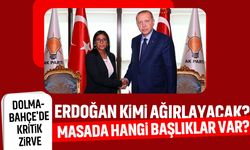 Dolmabahçe'de kritik zirve: Erdoğan kimi ağırlayacak? Masada hangi başlıklar var?