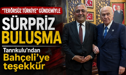 "Terörsüz Türkiye" gündemiyle sürpriz buluşma: Tanrıkulu'ndan Bahçeli'ye teşekkür