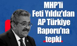 Feti Yıldız'dan AP Türkiye Raporu'na tepki: "Yaptıkları karşılıksız kalmayacak"