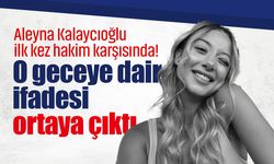 Aleyna Kalaycıoğlu ilk kez hakim karşısında! O geceye dair ifadesi ortaya çıktı